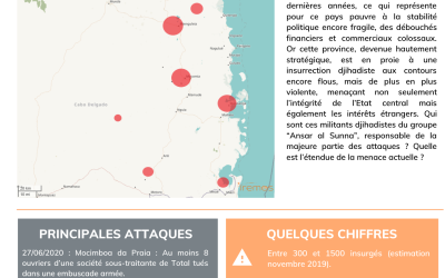 Mozambique : L’insurrection djihadiste à Cabo Delgado